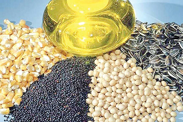 تداوم انحصار در واردات روغن/بازار دانه‌های روغنی ساماندهی می‌شود