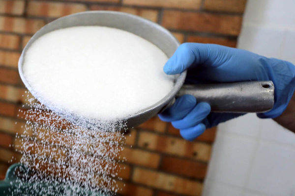 واردات یک میلیون تن شکر/ قیمت برای ماه رمضان اعلام شد