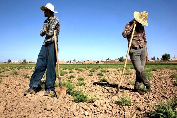 بیش از 3 همت وام برای اشتغال روستاییان