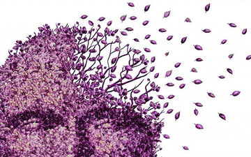 افراد بالای ۵۰ سال چند وقت یکبار باید تست حافظه بدهند؟