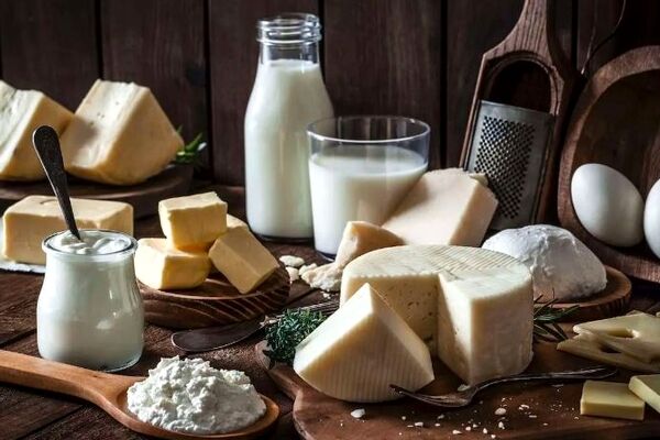شناسایی مقصر گرانی لبنیات 