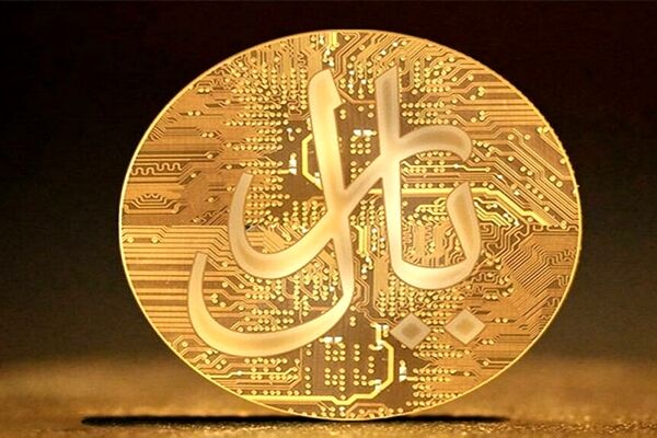 وعده فرزین درباره عملیاتی شدن ریال دیجیتال 