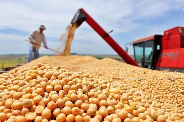 هشدار فعالان صنعت طیور به وزیر کشاورزی 