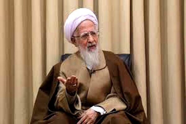 انتقاد تند یک مرجع تقلید از اقتصاد دستوری/ اقتصاد که راهپیمایی نیست با سفارش و دعوت حل شود