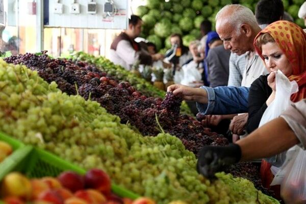 کاهش قیمت نوبرانه های پاییزی
