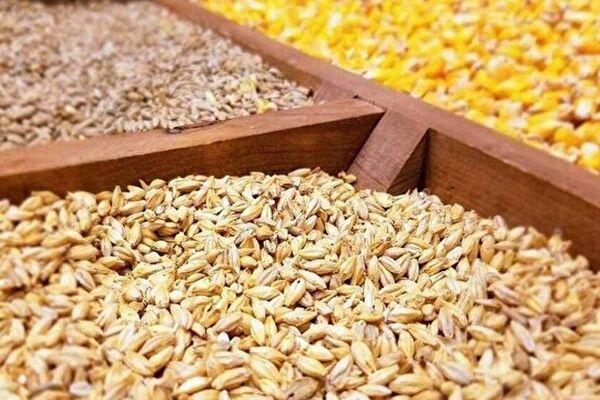 ضرورت اصلاح قیمت خرید تضمینی محصولات کشاورزی
