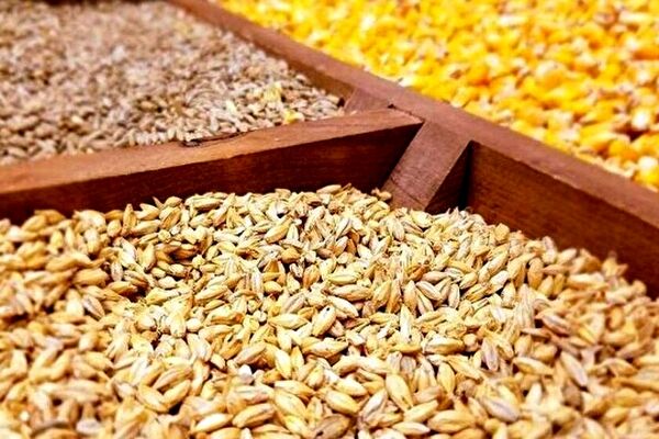 ممنوعیت خرید و فروش نهاده در بازار آزاد