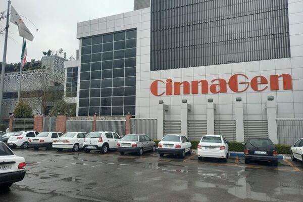 مشکلات اصلی صادرکنندگان نقل و انتقال پول است+فیلم