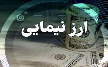 انتشار اسامی دریافت‌کنندگان ارز نیمایی/ این گروه یارانه ارزی کلان دریافت کرده‌اند 