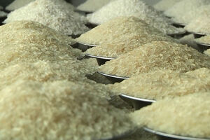 برنامه دولت ژاپن برای کاهش قیمت برنج در بازارهای جهانی