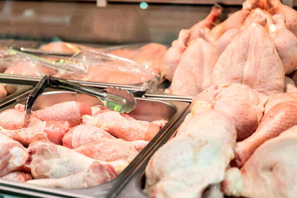 رقم صادرات گوشت مرغ در نیمه نخست سال چقدر است؟