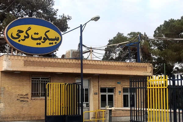 درصد افت سود هر سهم بیسکویت گرجی