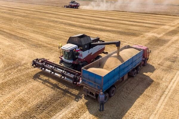 بدهی ۲۳ هزار میلیارد تومانی دولت به گندم‌کاران