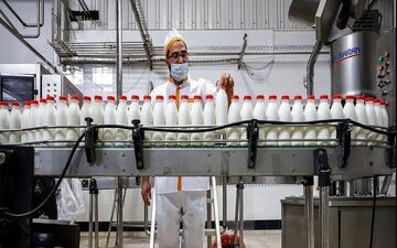 موج تورمی سنگین در بازار لبنیات 