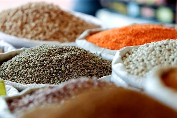 ریشه‌یابی افزایش قیمت حبوبات/ گرانی با نوروز می‌آید
