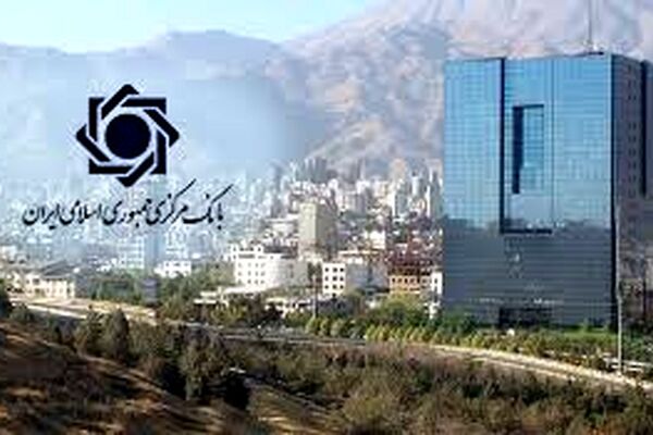 بار سنگین تامین مالی کشور بر دوش نظام بانکی