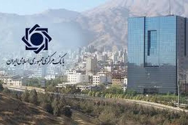 بار سنگین تامین مالی کشور بر دوش نظام بانکی