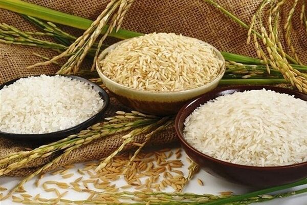 اعلام قیمت جدید برنج/کاهش ۲۵درصدی نرخ برنج ایرانی