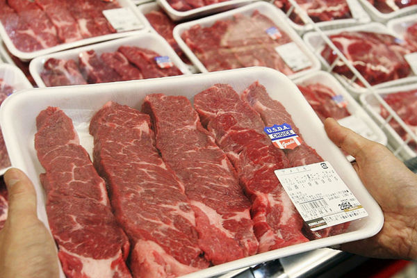 تولید گوشت گوسفند در اسفند ۱۳۱ درصد گرانتر شد