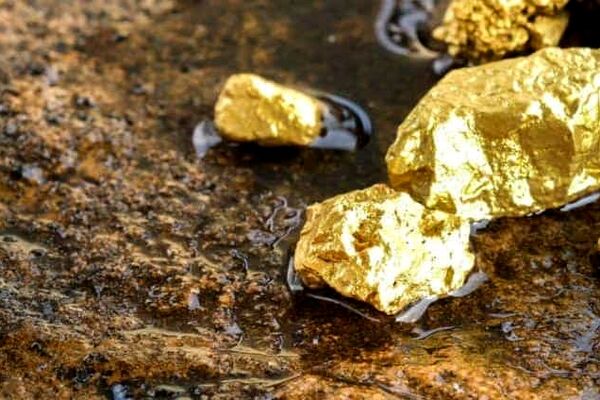 یک معدن طلا و مس با ذخیره ۶۰۰ میلیون تن کشف شد