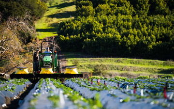 رشد 154درصدی تورم تولیدکننده بخش کشاورزی/ رکورد گرانی به گوجه فرنگی رسید