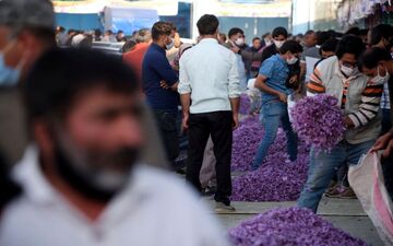 هشدار فایننشال تایمز درباره کاهش ذخایر زعفران ایرانی/ شوک دلالان چینی از انبارهای خالی از زعفران