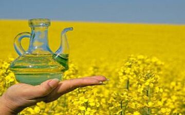 خبر خوش برای بازار روغن/ قیمت روغن کاهشی می‌شود؟