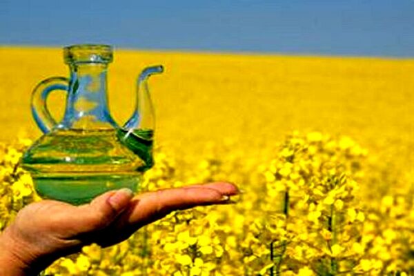 خبر خوش برای بازار روغن/ قیمت روغن کاهشی می‌شود؟