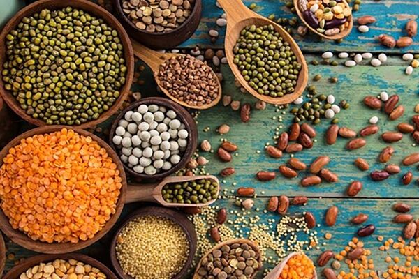 حذف پروتئین گیاهی از سفر خانوار/ خداحافظی دهک‌های پایین با حبوبات