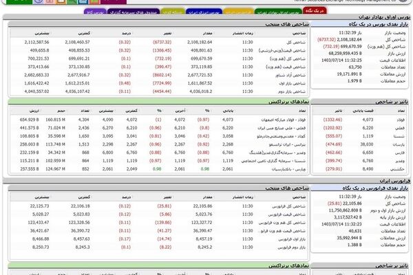 شفاف‌سازی مدیریت فناوری بورس از دلایل بروز مشکل در سایت TSETMC