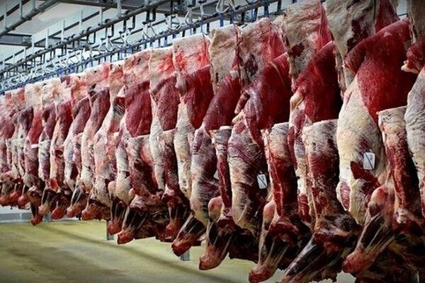 احتمال گرانی گوشت وجود دارد
