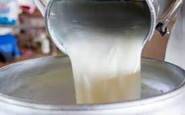گرانی ۳۰درصدی محصولات لبنی