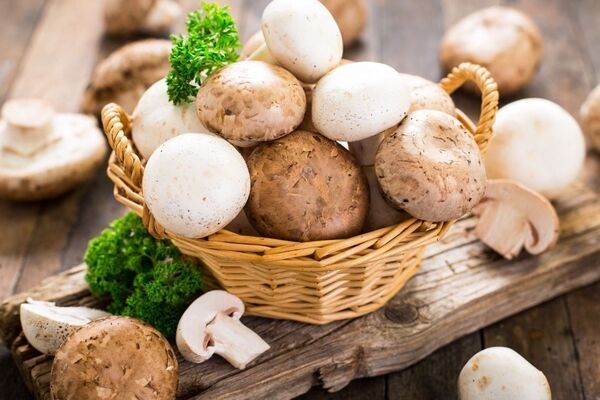 پیش بینی ۲۰۰ تا ۲۱۰ هزار تن تولید قارچ تا پایان سال 