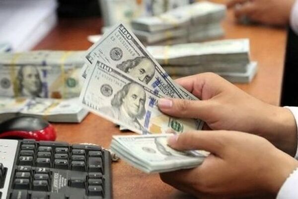  راه‌های مهار قیمت دلار