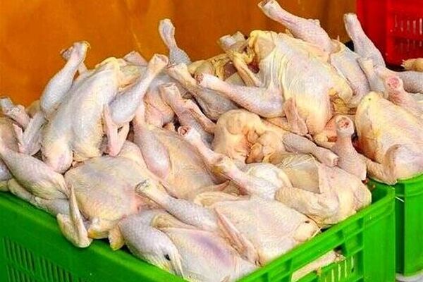 عقب نشینی قیمت مرغ/کاهش التهاب بازار گوشت