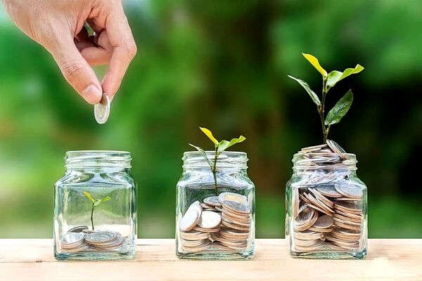 انحلال ۳ موسسه اعتباری ناسالم/ برنامه بانک مرکزی برای احیا بانک‌ها چیست؟