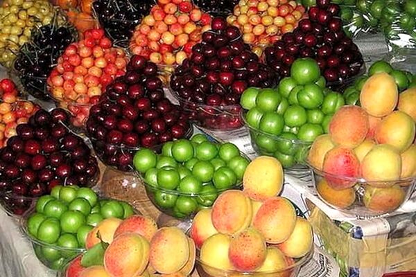 رکوردشکنی عجیب قیمت میوه‌های تابستانه/ کدام اقلام خوراکی پیشتاز تورم شدند؟