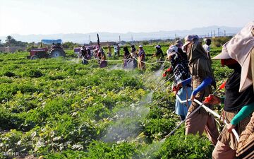 توسعه کسب و کار‌های روستایی با فناوری نوین/دانش بنیان ها کمک کنند