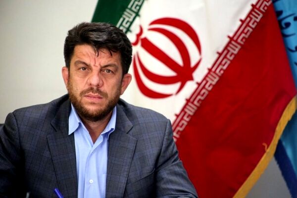 دفاع معاون وزیر کار از کارفرمایان/رقم دستمزد نباید کارفرما را به کارگر تبدیل کند