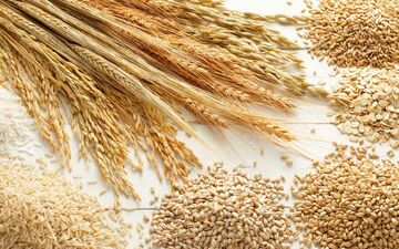 وضعیت مبهم بدهی دولت به واردکنندگان کالاهای اساسی