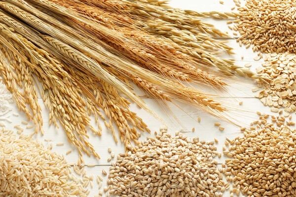 وضعیت مبهم بدهی دولت به واردکنندگان کالاهای اساسی