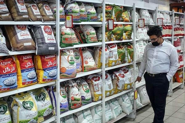 افزایش واردات کالاهای اساسی/علت جهش قیمت روغن چیست؟