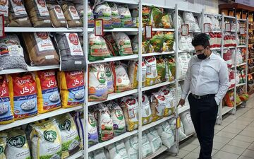 افزایش قیمت مواد خوراکی در پایان 1402+ نمودار