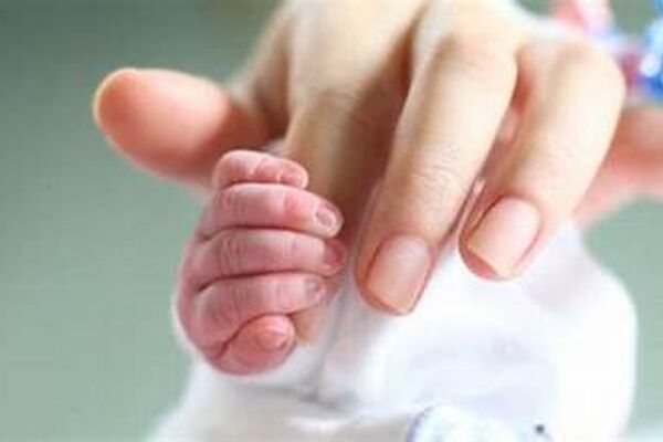 ارائه ۱۱ مرحله سبد غذایی رایگان در طرح یسنا 